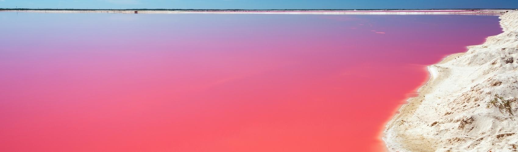 Rio Lagartos - Las Coloradas (Pink lake) Banner