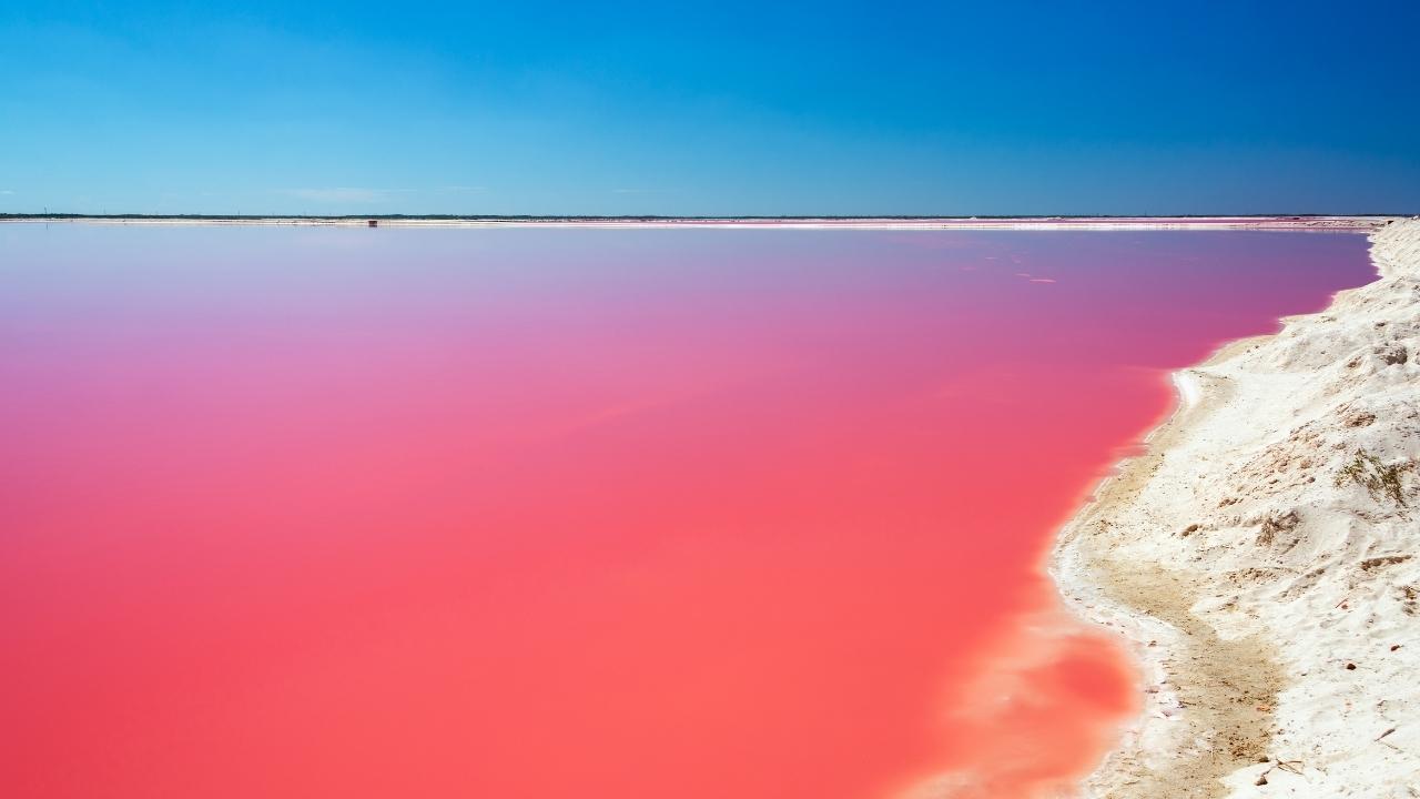 Rio Lagartos - Las Coloradas (Pink lake)